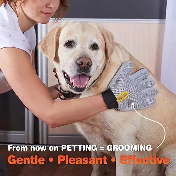 Amazing Grooming Gloves