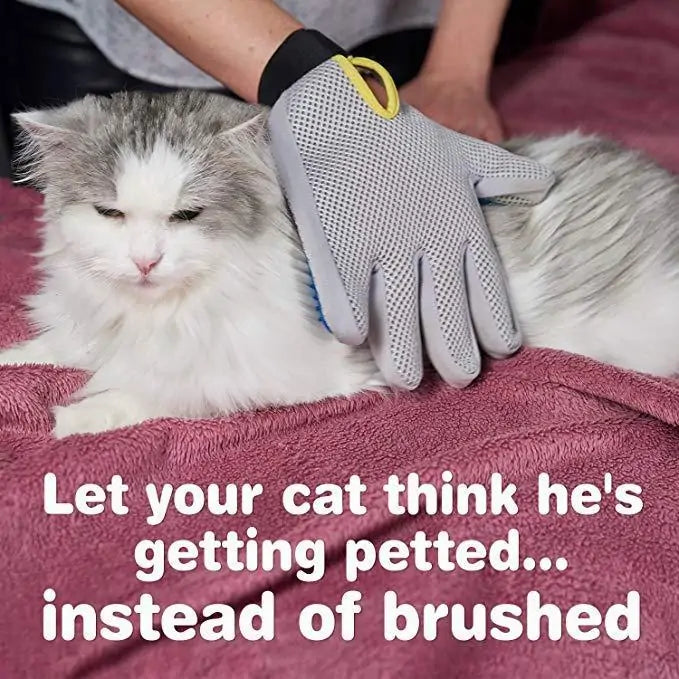 Amazing Grooming Gloves